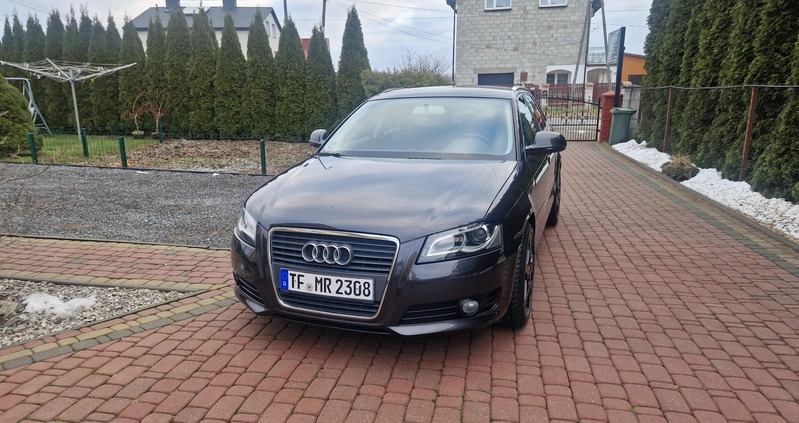 Audi A3 cena 29900 przebieg: 172900, rok produkcji 2009 z Trzebiatów małe 29